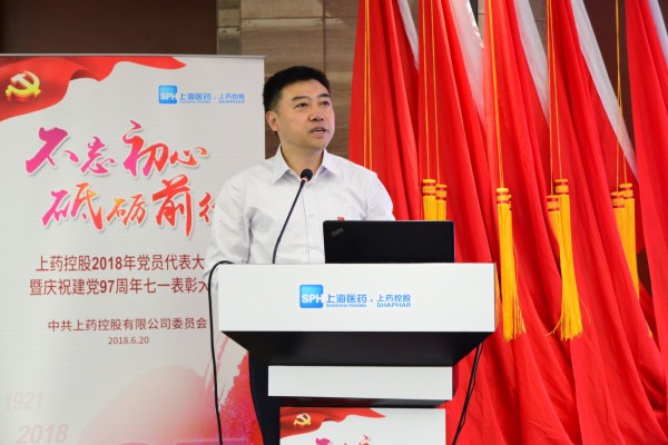 赢彩吧859cc控股召开2018年党员代表大会暨七一表彰大会